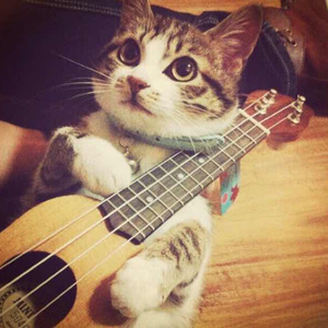 白娜被局长c到高潮
