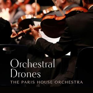 白娜被局长c到高潮
